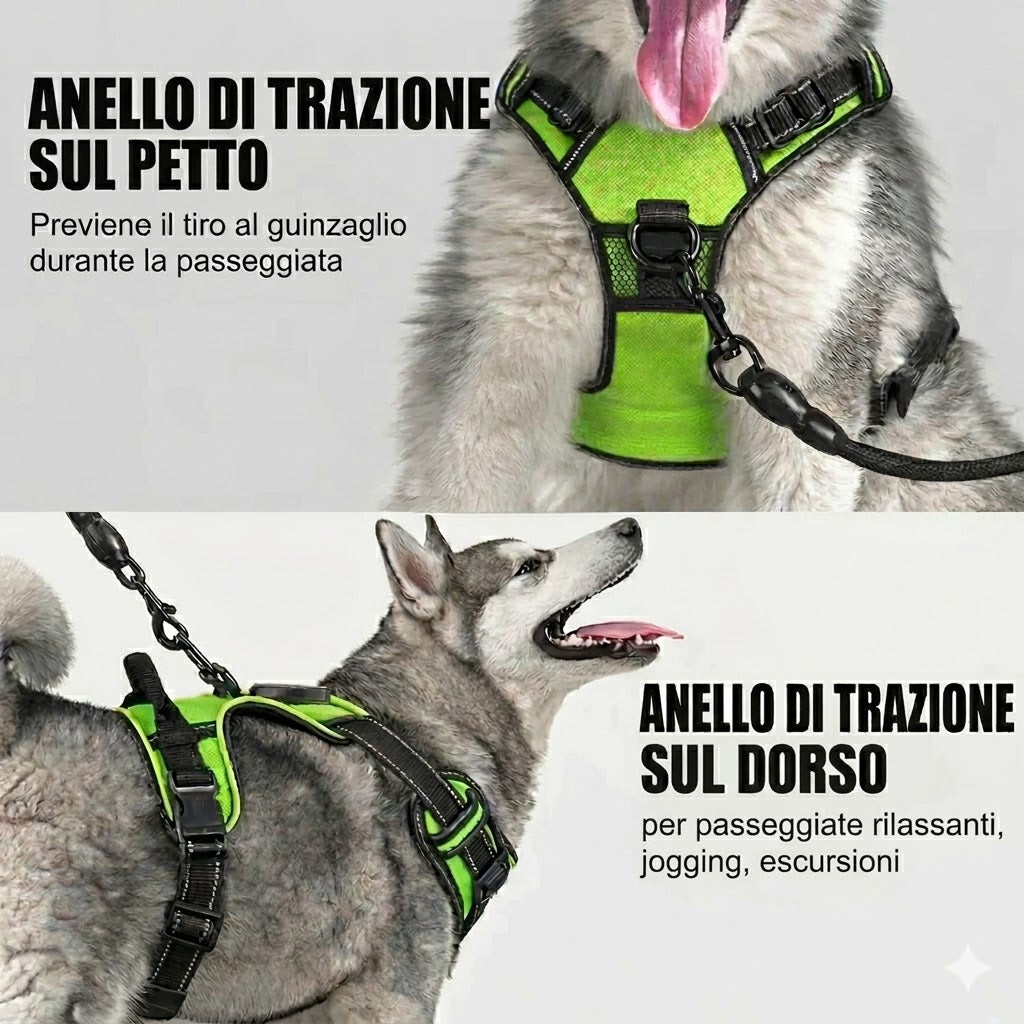 ANIMARF- Pettorina LED ad Alta Visibilità